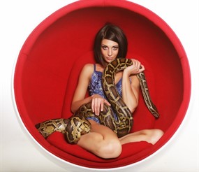 欧美范野性美女图片